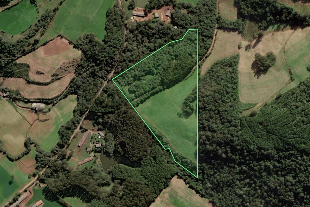 Imagem de satélite do imóvel rural em Videira (SC), com o contorno declarado no CAR desenhado por cima.
