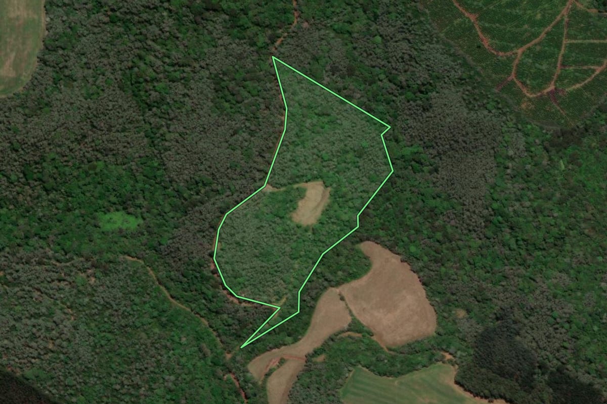 Imagem de satélite do imóvel rural em Videira (SC), com o contorno declarado no CAR desenhado por cima.