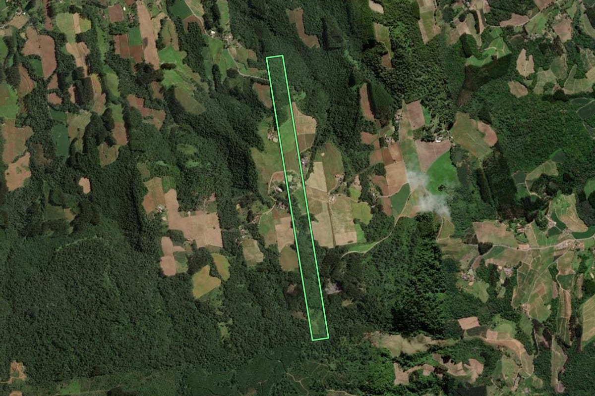 Imagem de satélite do imóvel rural em Vitor Meireles (SC), com o contorno declarado no CAR desenhado por cima.