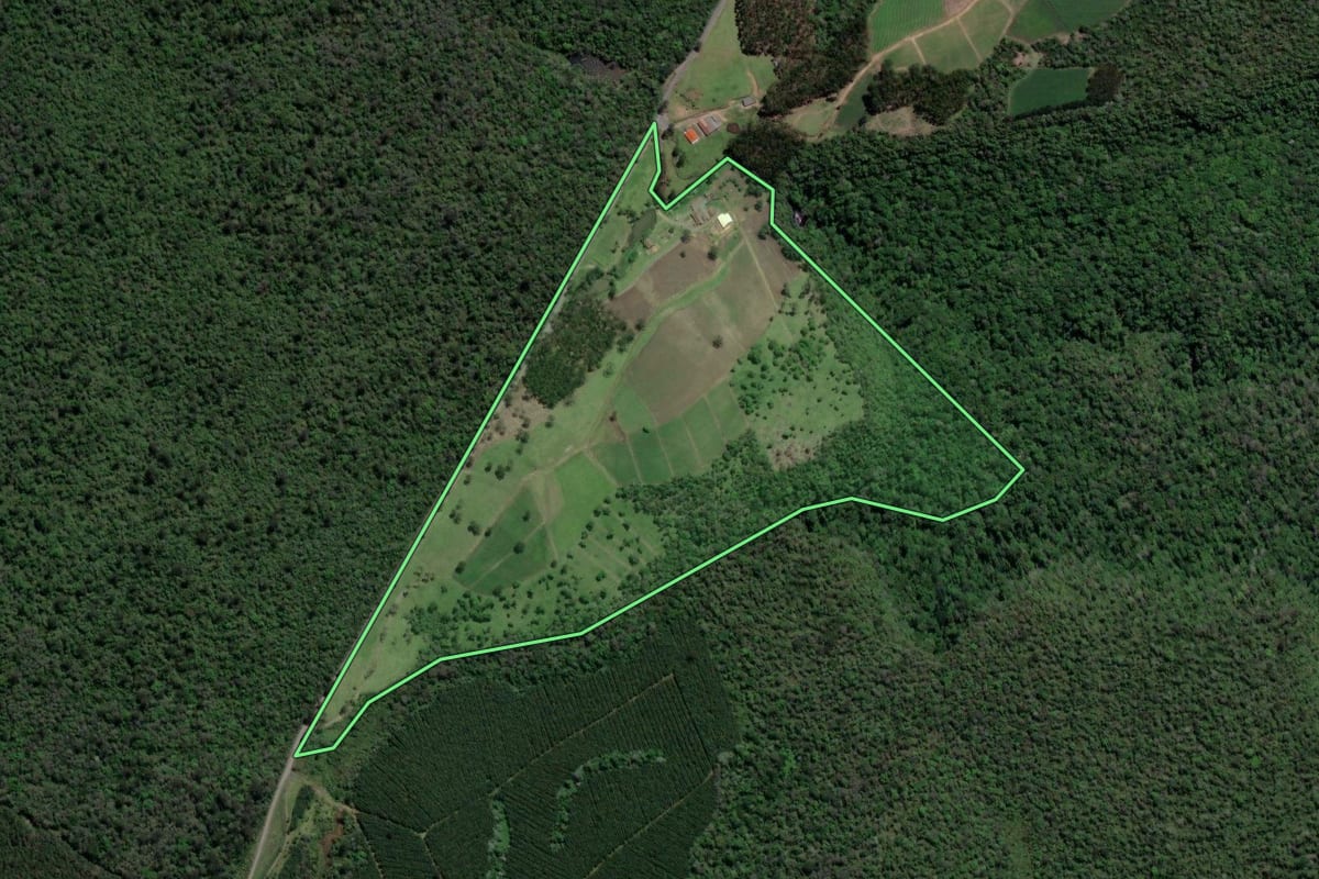 Imagem de satélite do imóvel rural em Vitor Meireles (SC), com o contorno declarado no CAR desenhado por cima.