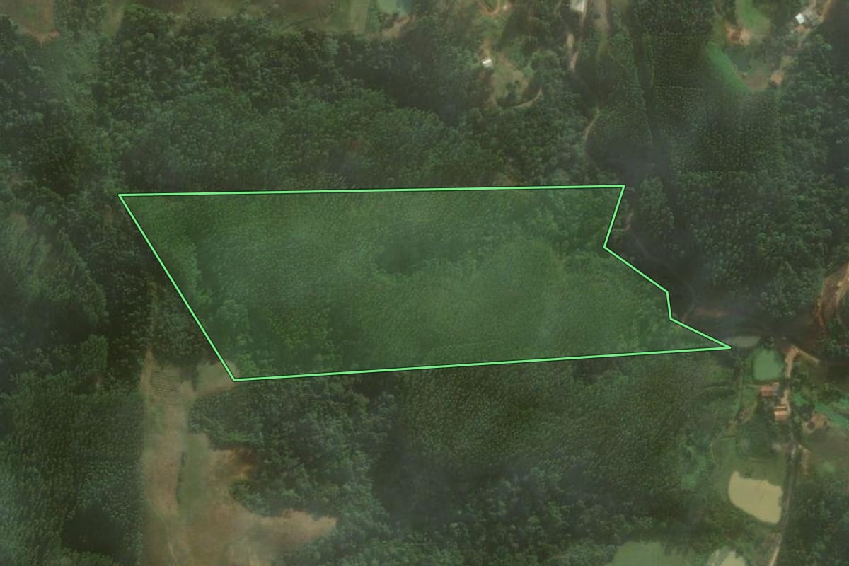 Imagem de satélite do imóvel rural em Vitor Meireles (SC), com o contorno declarado no CAR desenhado por cima.