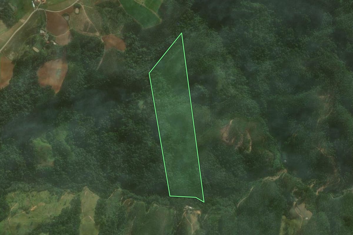 Imagem de satélite do imóvel rural em Vitor Meireles (SC), com o contorno declarado no CAR desenhado por cima.