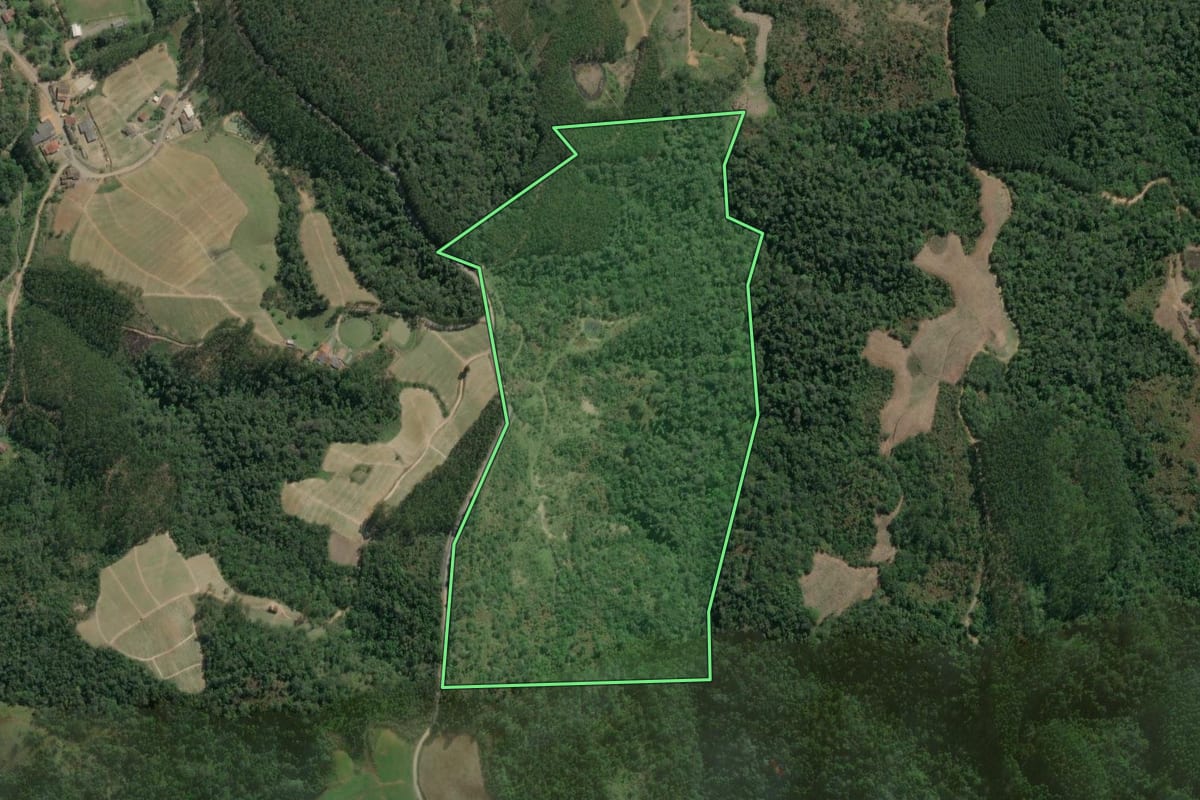 Imagem de satélite do imóvel rural em Vitor Meireles (SC), com o contorno declarado no CAR desenhado por cima.