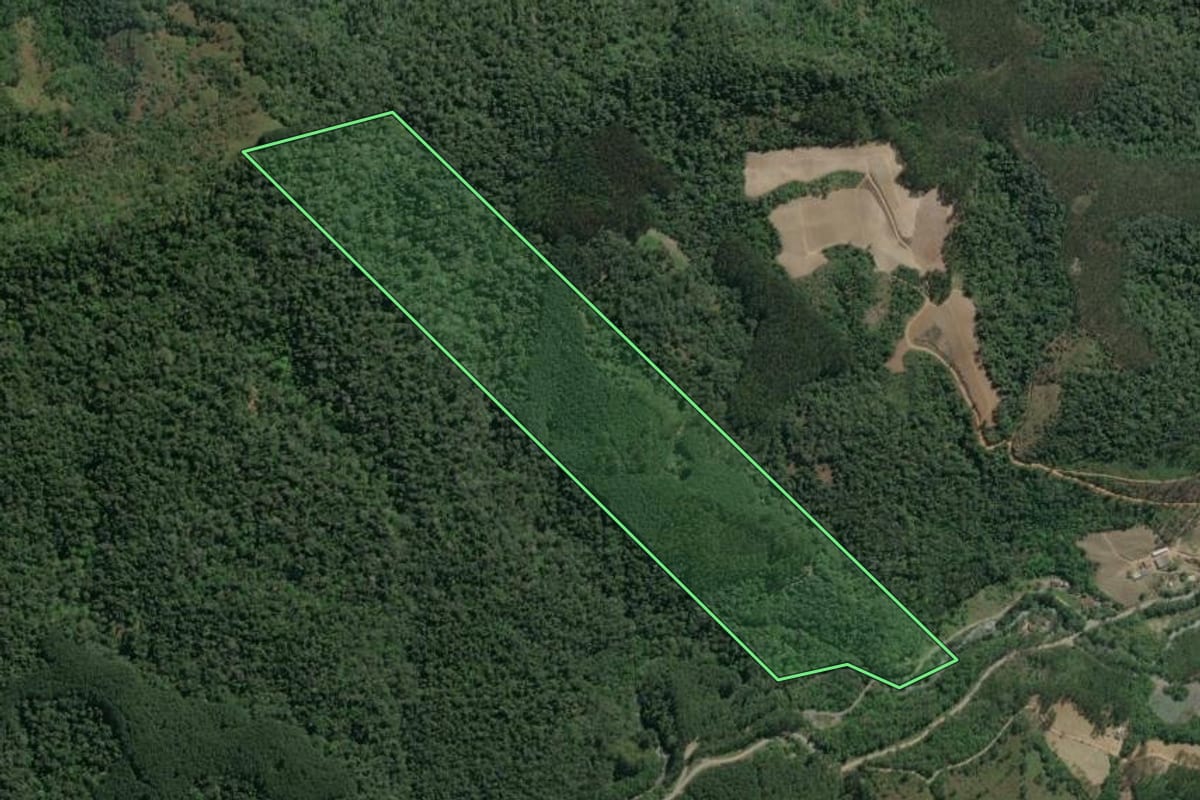 Imagem de satélite do imóvel rural em Vitor Meireles (SC), com o contorno declarado no CAR desenhado por cima.