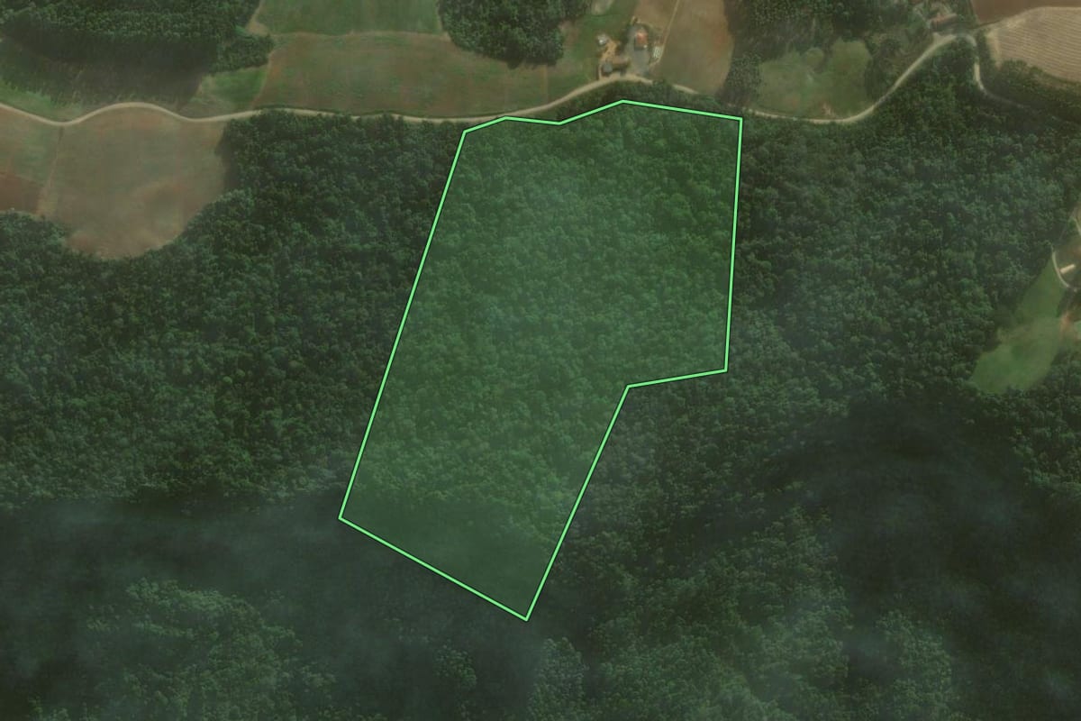 Imagem de satélite do imóvel rural em Vitor Meireles (SC), com o contorno declarado no CAR desenhado por cima.