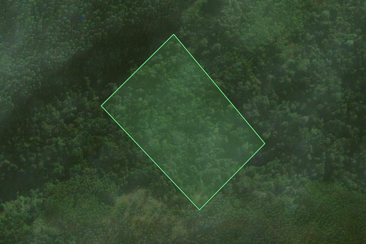 Imagem de satélite do imóvel rural em Vitor Meireles (SC), com o contorno declarado no CAR desenhado por cima.