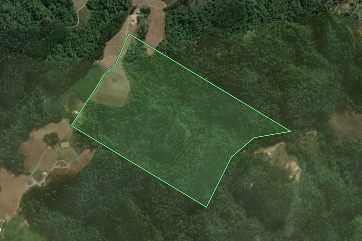 Imagem de satélite do imóvel rural em Vitor Meireles (SC), com o contorno declarado no CAR desenhado por cima.