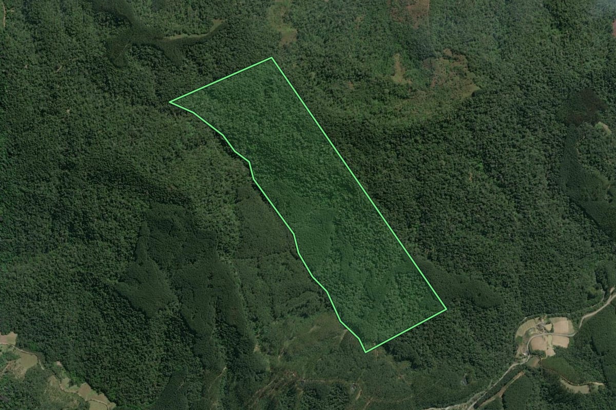 Imagem de satélite do imóvel rural em Vitor Meireles (SC), com o contorno declarado no CAR desenhado por cima.