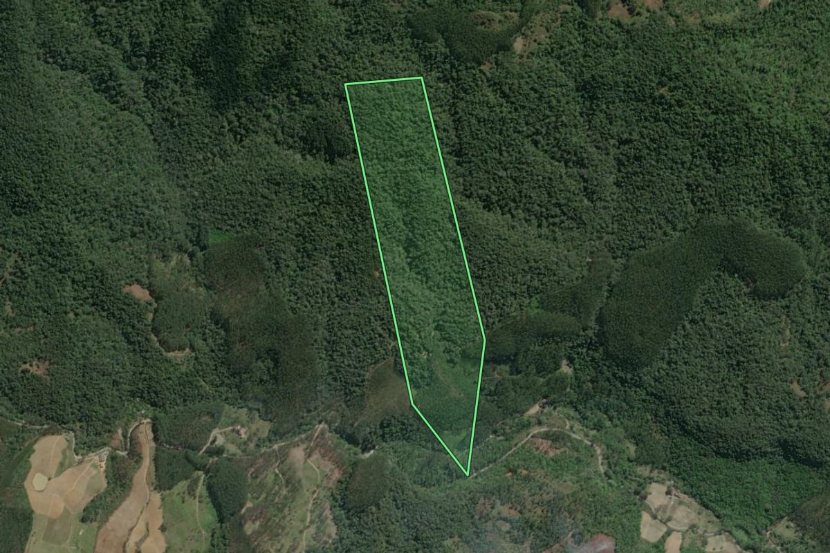 Imagem de satélite do imóvel rural em Vitor Meireles (SC), com o contorno declarado no CAR desenhado por cima.