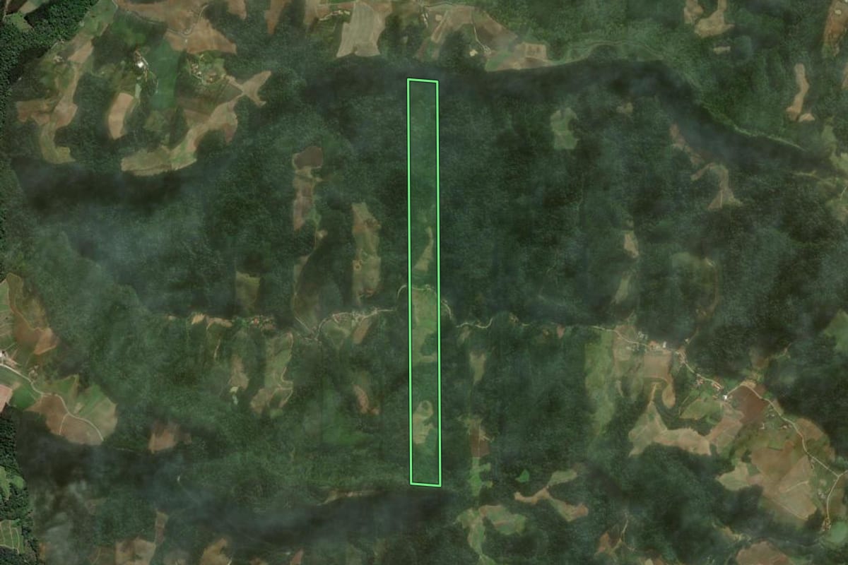 Imagem de satélite do imóvel rural em Vitor Meireles (SC), com o contorno declarado no CAR desenhado por cima.