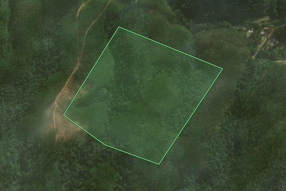 Imagem de satélite do imóvel rural em Vitor Meireles (SC), com o contorno declarado no CAR desenhado por cima.