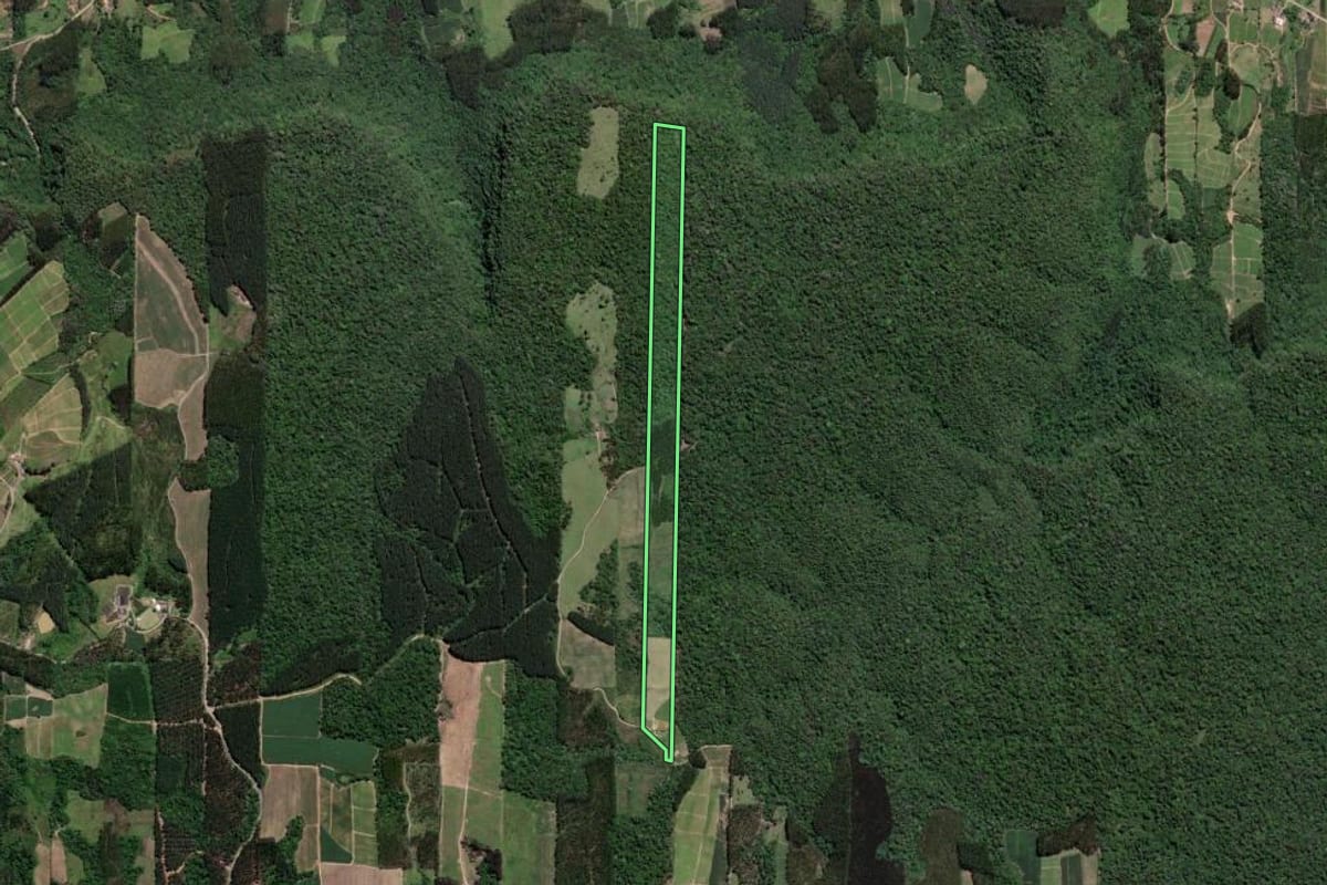 Imagem de satélite do imóvel rural em Vitor Meireles (SC), com o contorno declarado no CAR desenhado por cima.