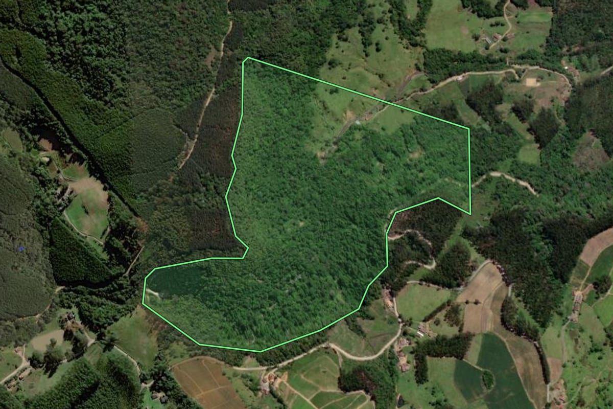 Imagem de satélite do imóvel rural em Vitor Meireles (SC), com o contorno declarado no CAR desenhado por cima.