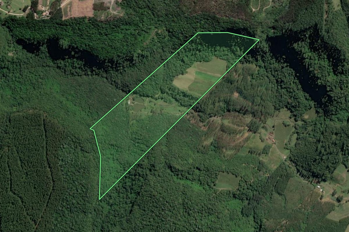 Imagem de satélite do imóvel rural em Vitor Meireles (SC), com o contorno declarado no CAR desenhado por cima.