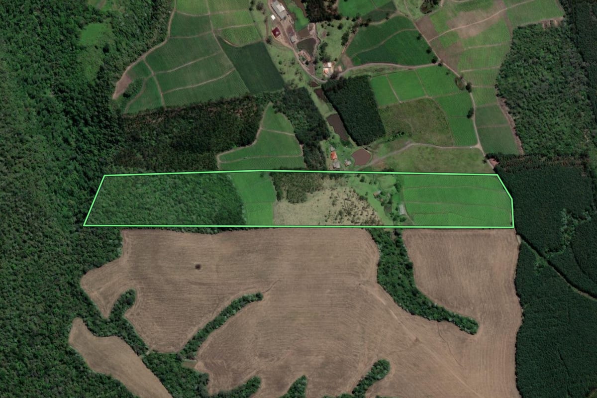 Imagem de satélite do imóvel rural em Vitor Meireles (SC), com o contorno declarado no CAR desenhado por cima.
