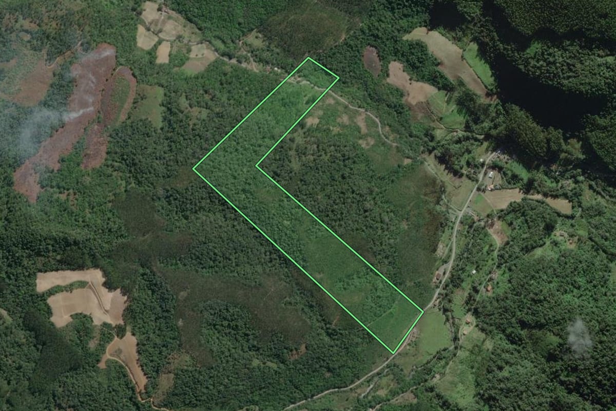 Imagem de satélite do imóvel rural em Vitor Meireles (SC), com o contorno declarado no CAR desenhado por cima.