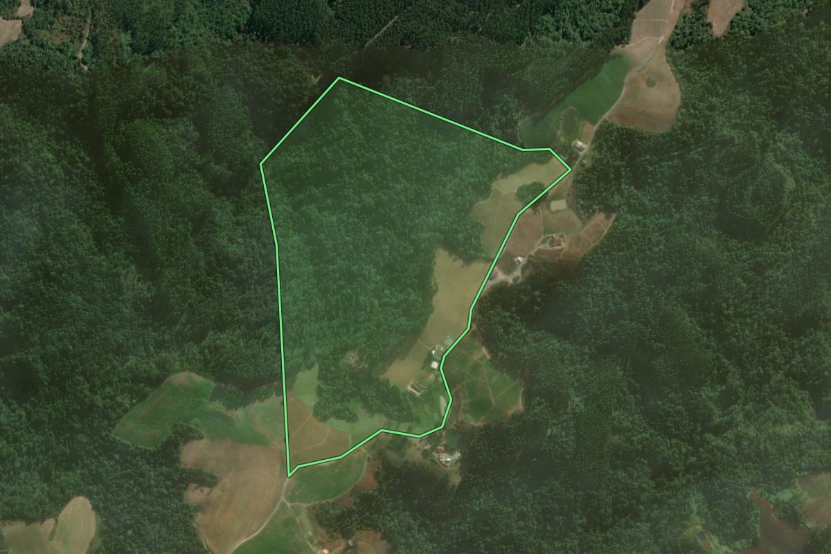 Imagem de satélite do imóvel rural em Vitor Meireles (SC), com o contorno declarado no CAR desenhado por cima.