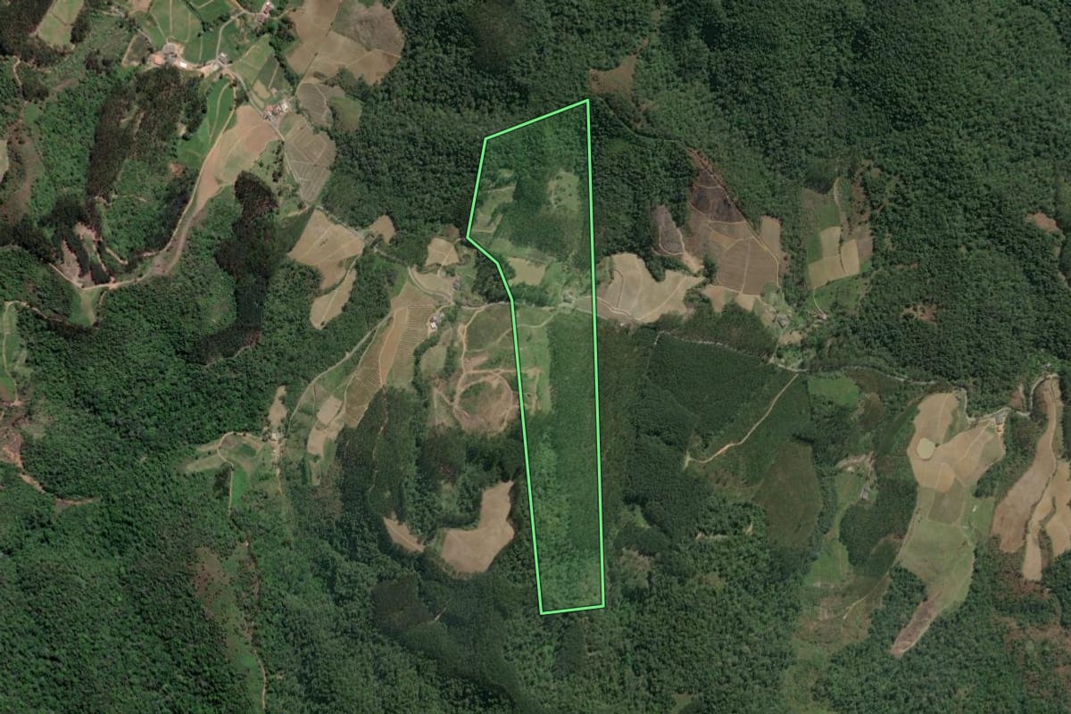 Imagem de satélite do imóvel rural em Vitor Meireles (SC), com o contorno declarado no CAR desenhado por cima.