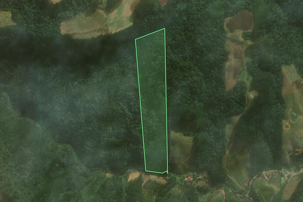 Imagem de satélite do imóvel rural em Vitor Meireles (SC), com o contorno declarado no CAR desenhado por cima.