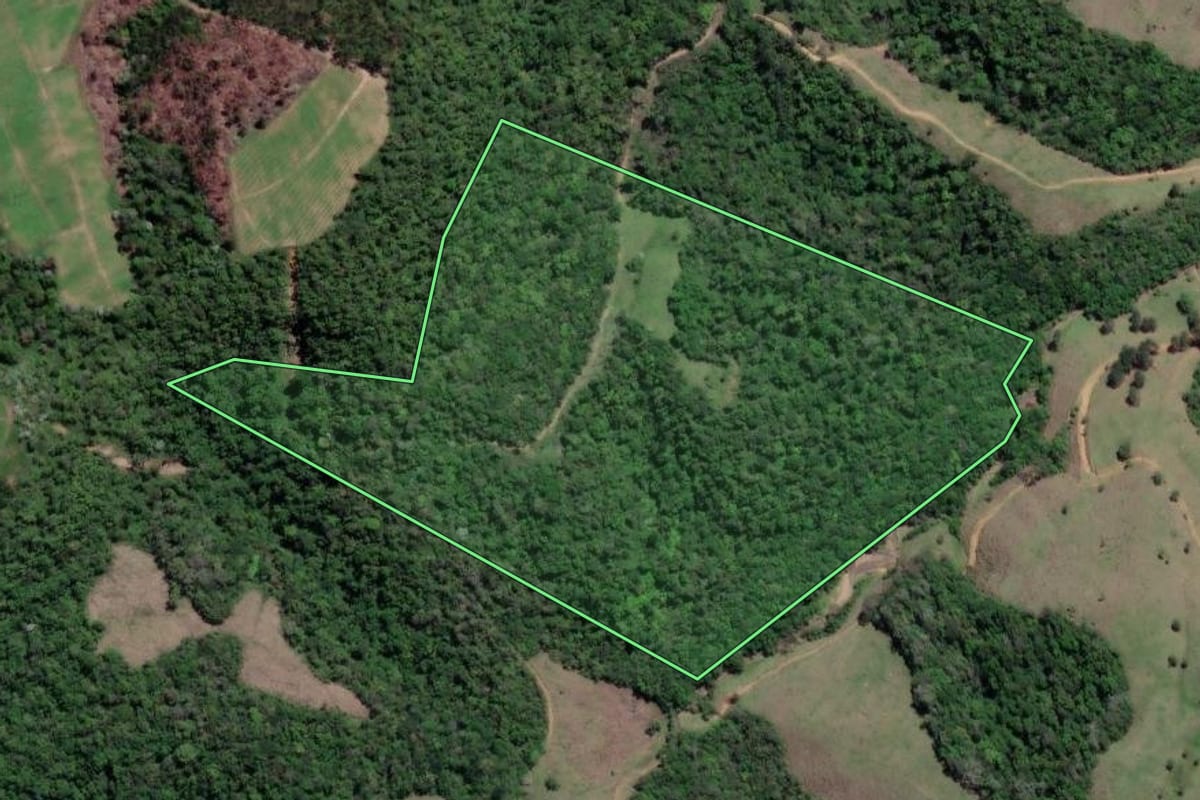 Imagem de satélite do imóvel rural em Vitor Meireles (SC), com o contorno declarado no CAR desenhado por cima.