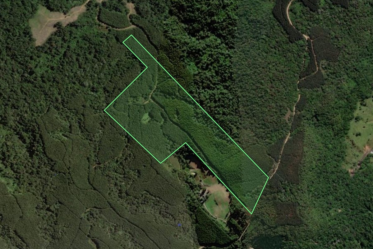 Imagem de satélite do imóvel rural em Vitor Meireles (SC), com o contorno declarado no CAR desenhado por cima.