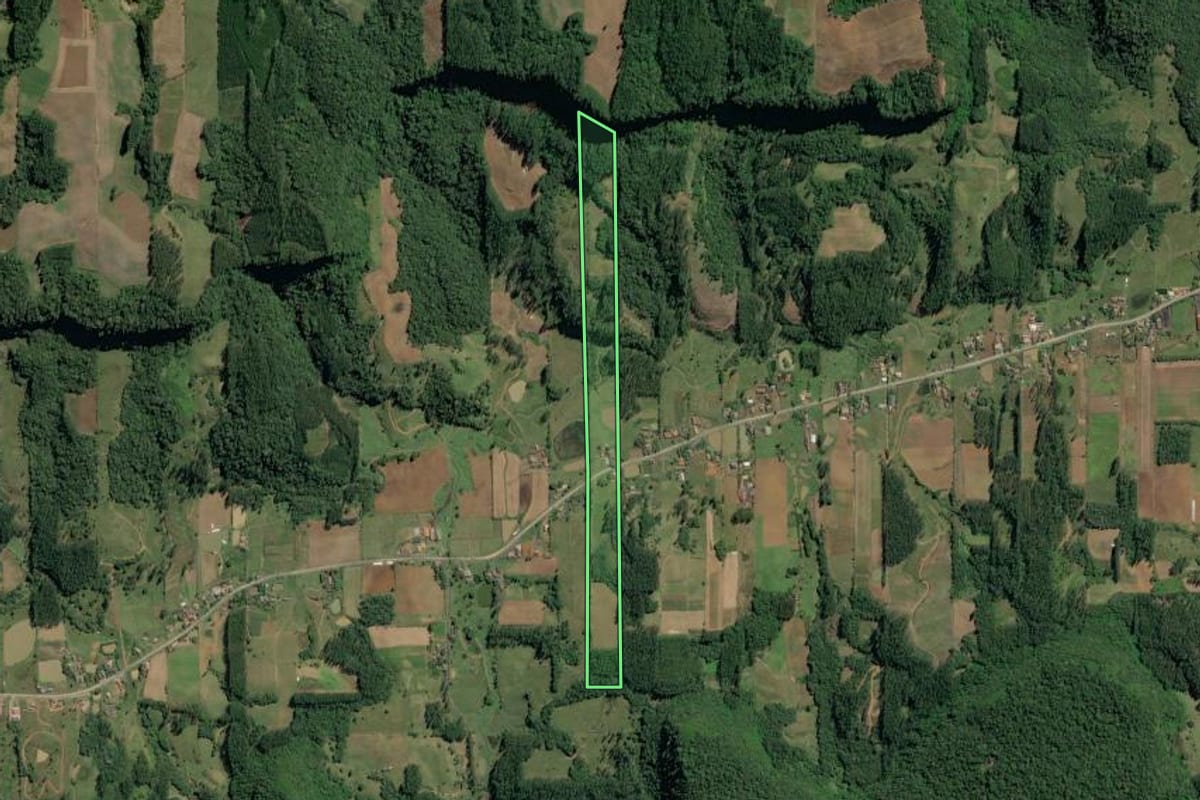 Imagem de satélite do imóvel rural em Witmarsum (SC), com o contorno declarado no CAR desenhado por cima.