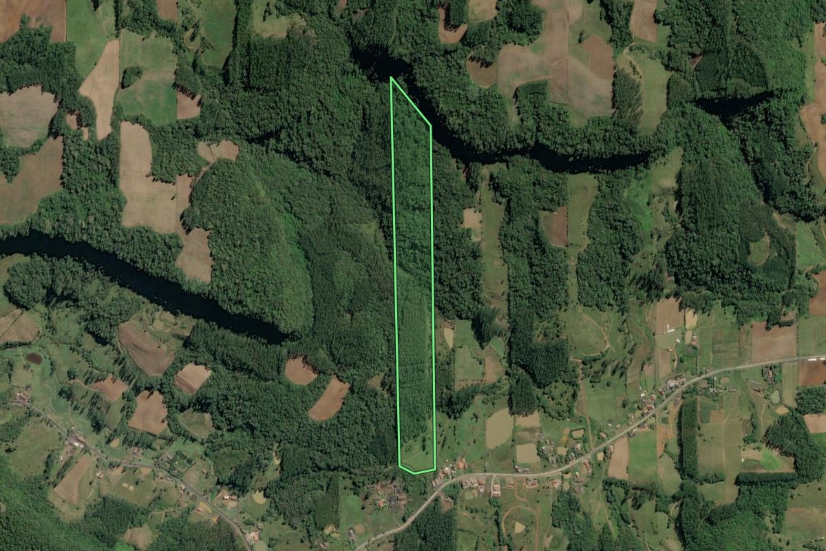 Imagem de satélite do imóvel rural em Witmarsum (SC), com o contorno declarado no CAR desenhado por cima.