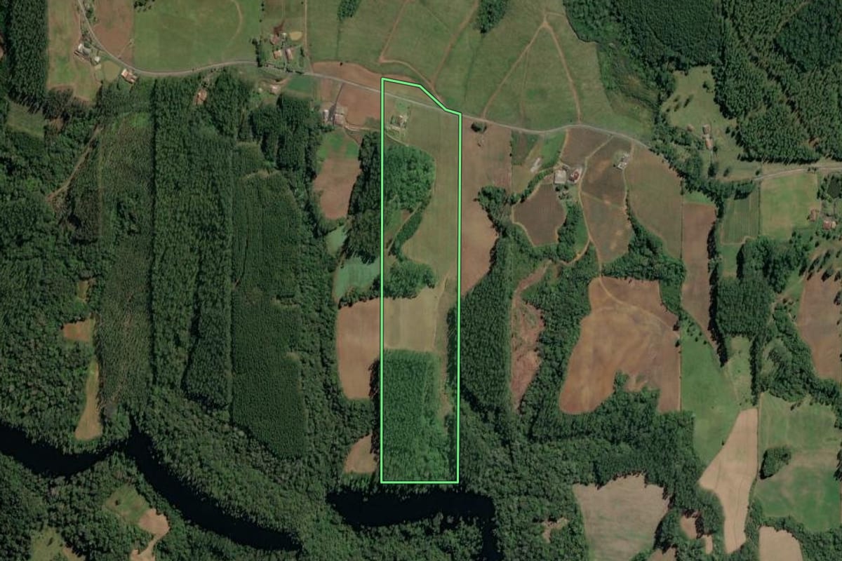 Imagem de satélite do imóvel rural em Witmarsum (SC), com o contorno declarado no CAR desenhado por cima.