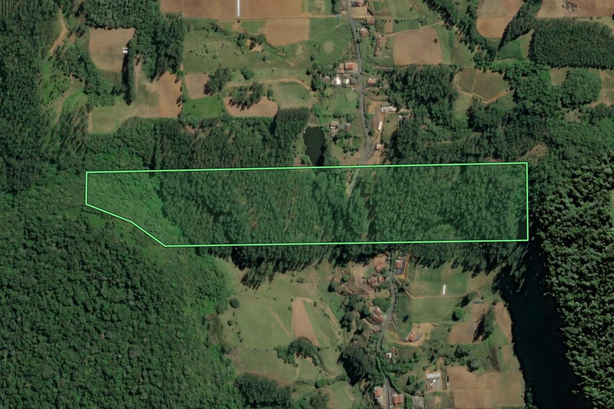 Imagem de satélite do imóvel rural em Witmarsum (SC), com o contorno declarado no CAR desenhado por cima.