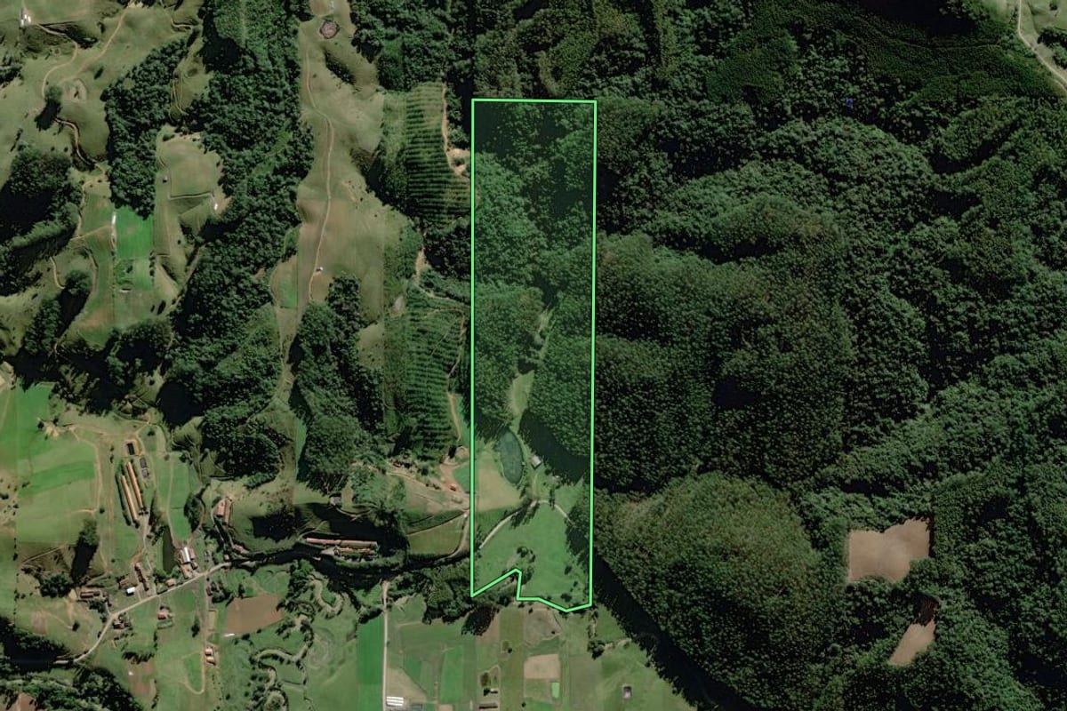 Imagem de satélite do imóvel rural em Witmarsum (SC), com o contorno declarado no CAR desenhado por cima.