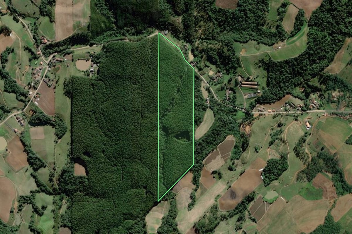 Imagem de satélite do imóvel rural em Witmarsum (SC), com o contorno declarado no CAR desenhado por cima.
