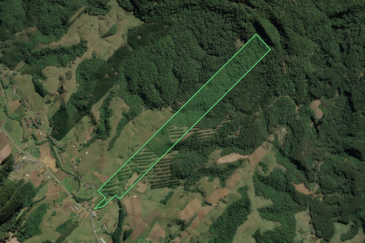 Imagem de satélite do imóvel rural em Witmarsum (SC), com o contorno declarado no CAR desenhado por cima.