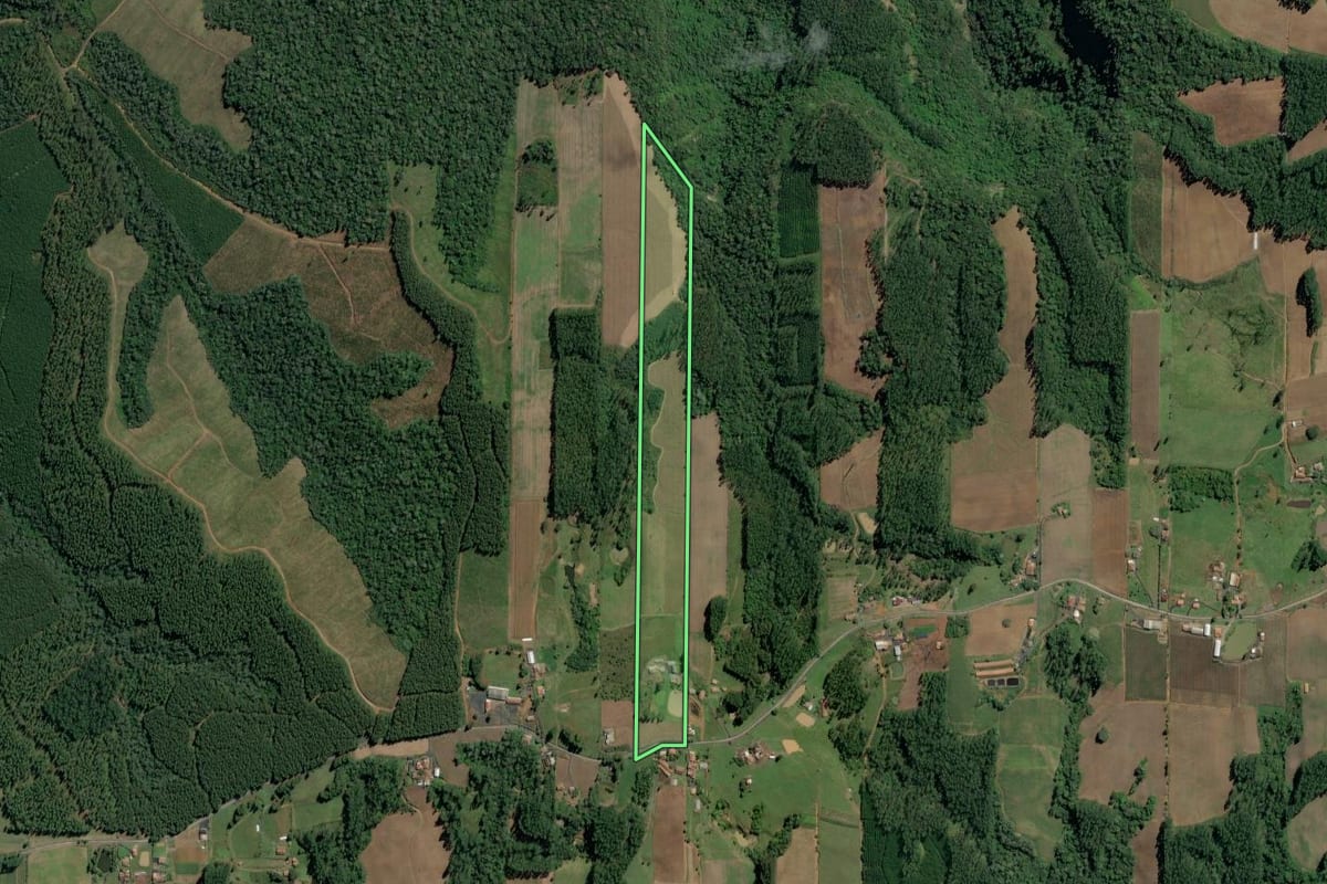 Imagem de satélite do imóvel rural em Witmarsum (SC), com o contorno declarado no CAR desenhado por cima.
