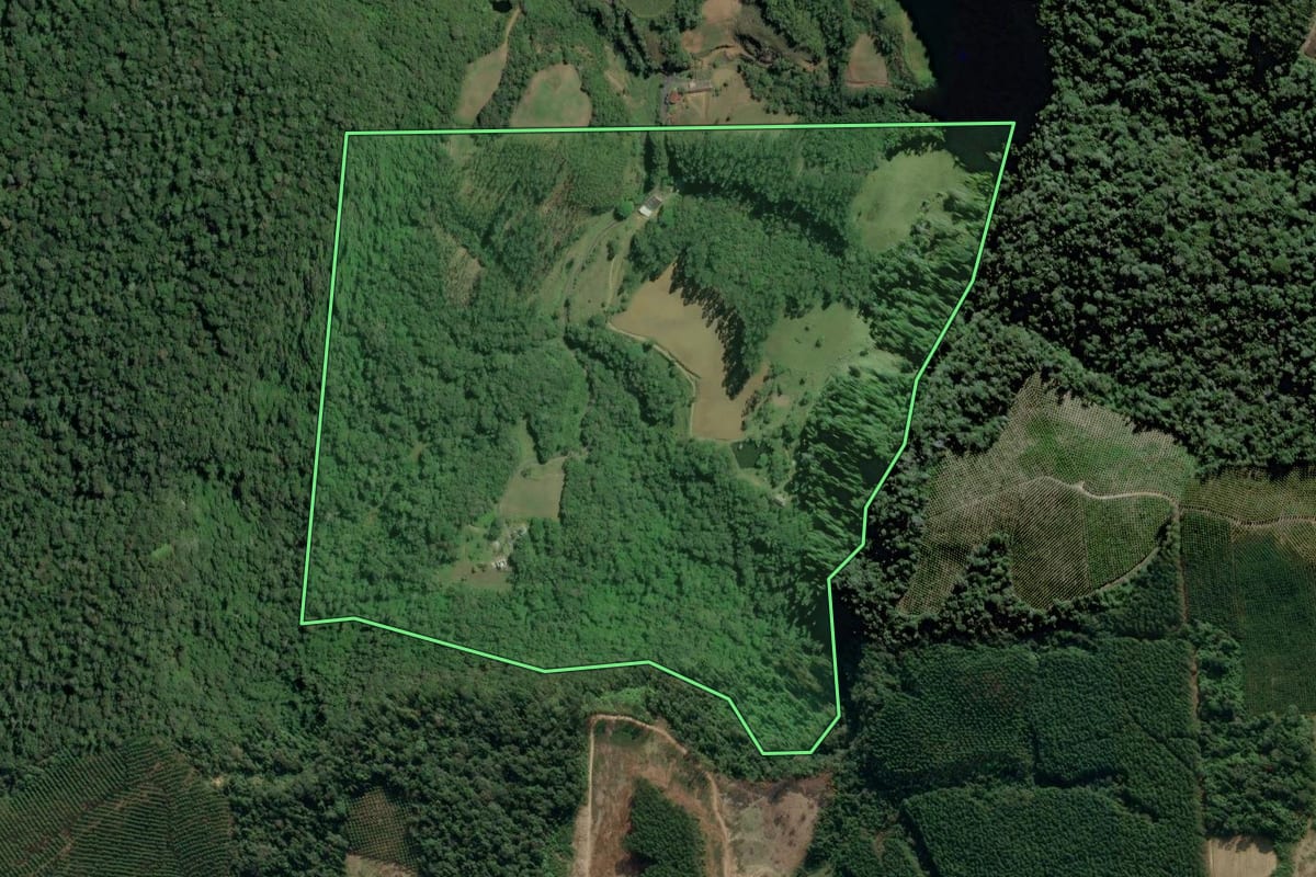 Imagem de satélite do imóvel rural em Witmarsum (SC), com o contorno declarado no CAR desenhado por cima.