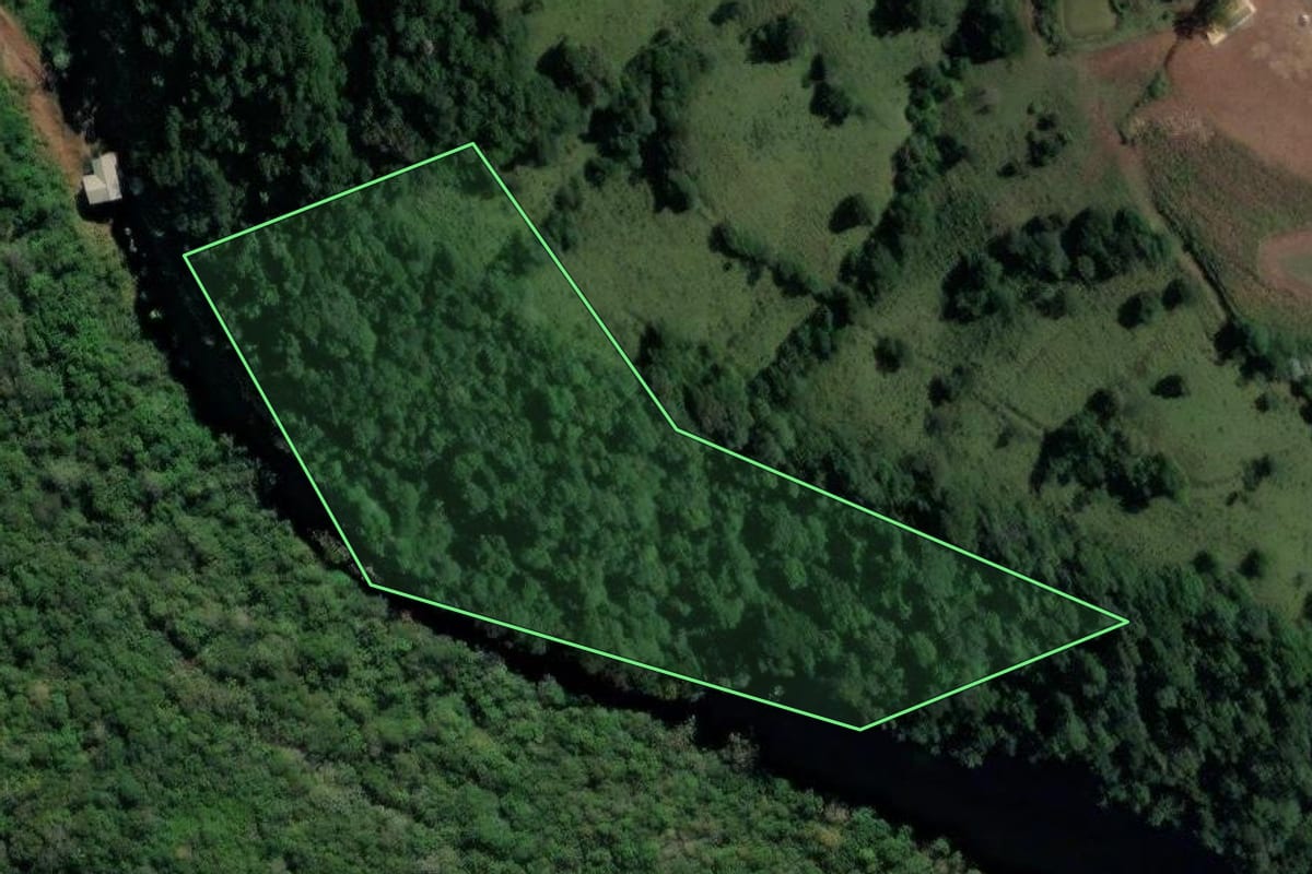 Imagem de satélite do imóvel rural em Xanxerê (SC), com o contorno declarado no CAR desenhado por cima.