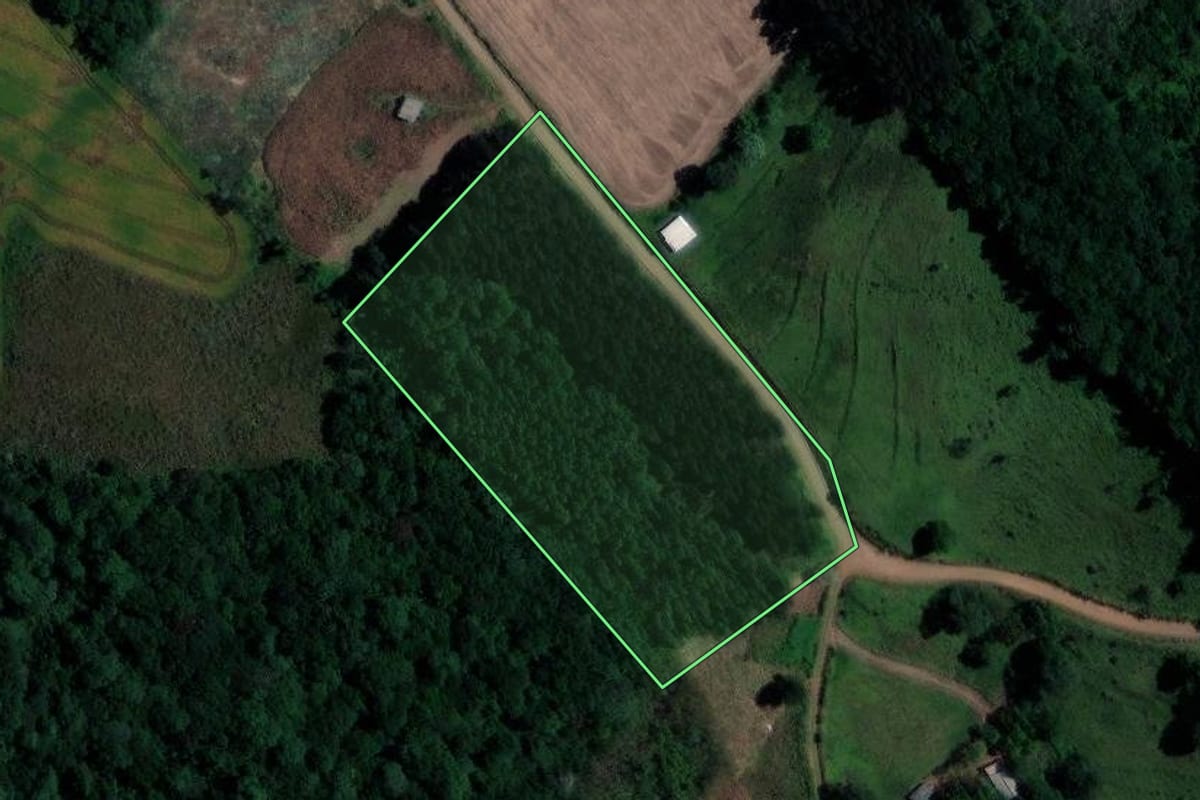 Imagem de satélite do imóvel rural em Xanxerê (SC), com o contorno declarado no CAR desenhado por cima.