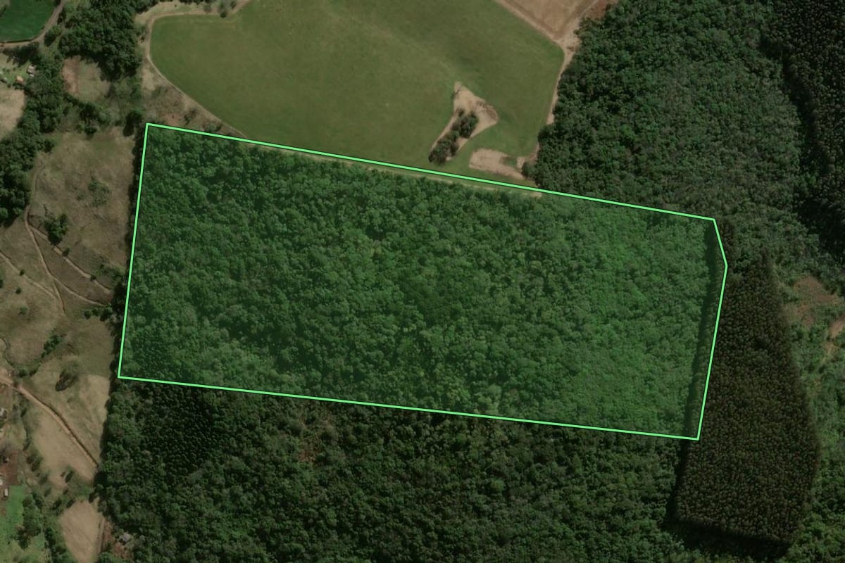 Imagem de satélite do imóvel rural em Xanxerê (SC), com o contorno declarado no CAR desenhado por cima.