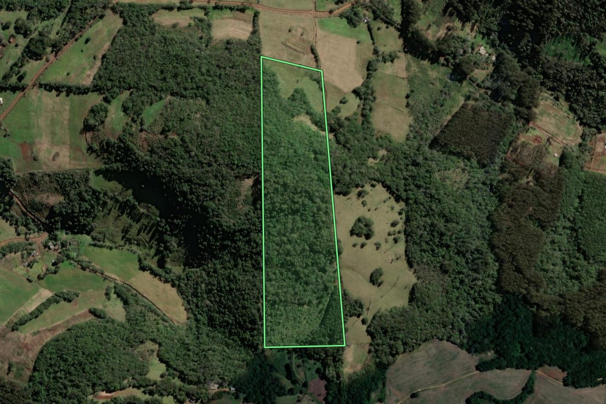 Imagem de satélite do imóvel rural em Xanxerê (SC), com o contorno declarado no CAR desenhado por cima.