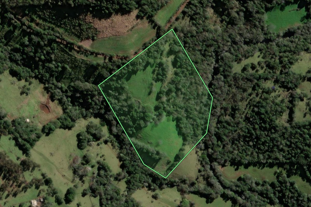 Imagem de satélite do imóvel rural em Xanxerê (SC), com o contorno declarado no CAR desenhado por cima.