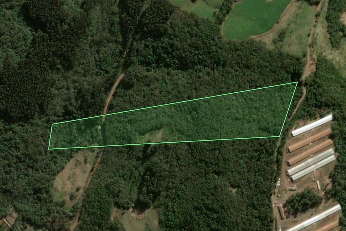 Imagem de satélite do imóvel rural em Xanxerê (SC), com o contorno declarado no CAR desenhado por cima.