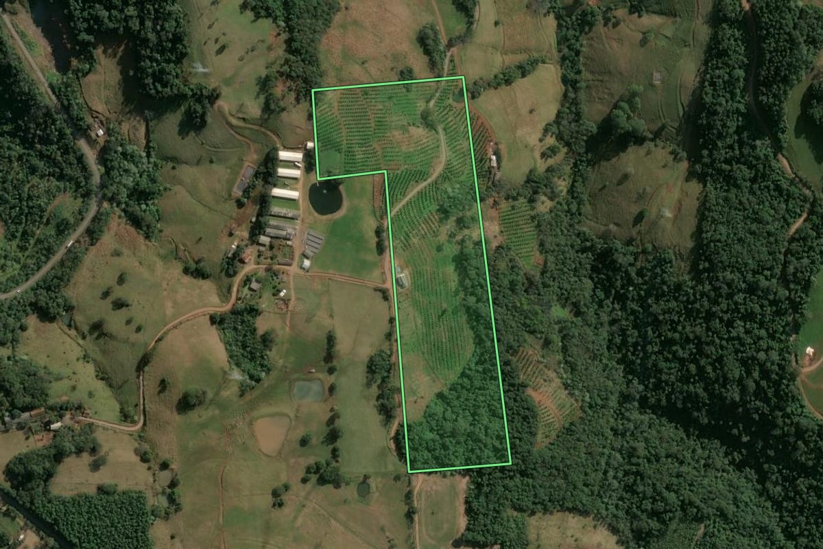 Imagem de satélite do imóvel rural em Xavantina (SC), com o contorno declarado no CAR desenhado por cima.
