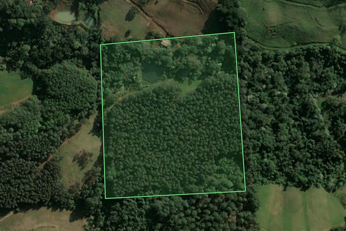 Imagem de satélite do imóvel rural em Xavantina (SC), com o contorno declarado no CAR desenhado por cima.