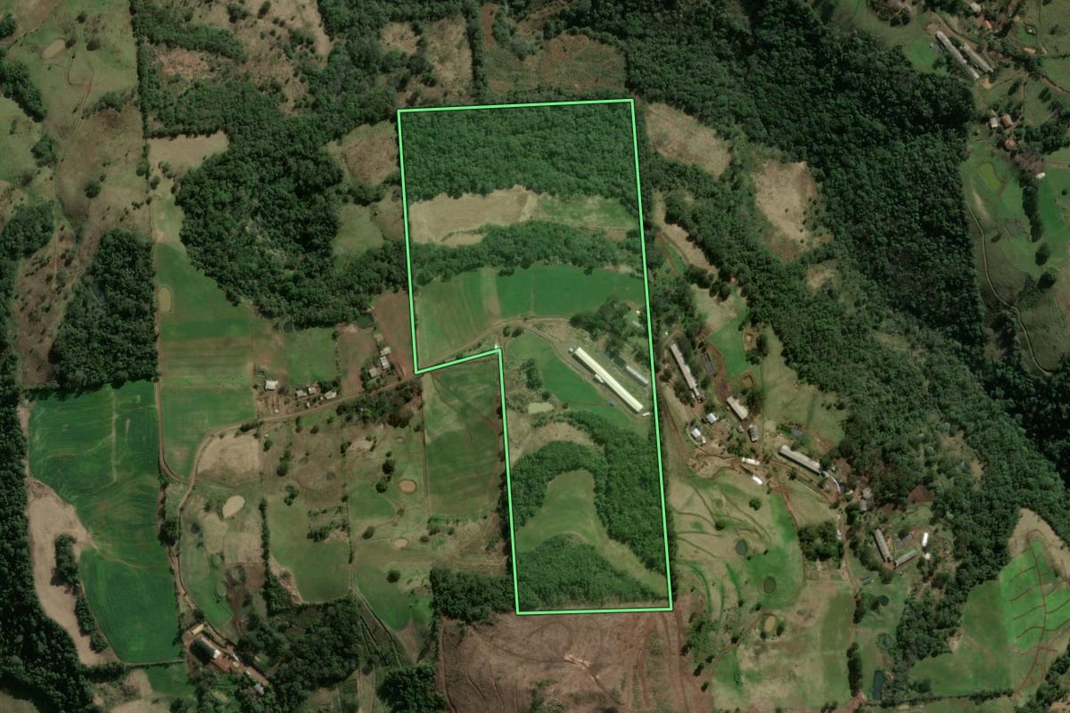 Imagem de satélite do imóvel rural em Xavantina (SC), com o contorno declarado no CAR desenhado por cima.