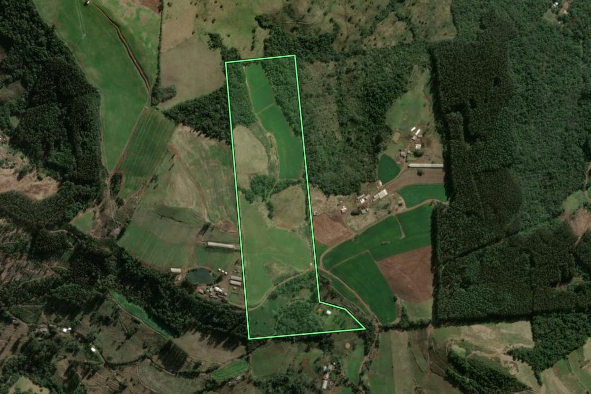 Imagem de satélite do imóvel rural em Xavantina (SC), com o contorno declarado no CAR desenhado por cima.