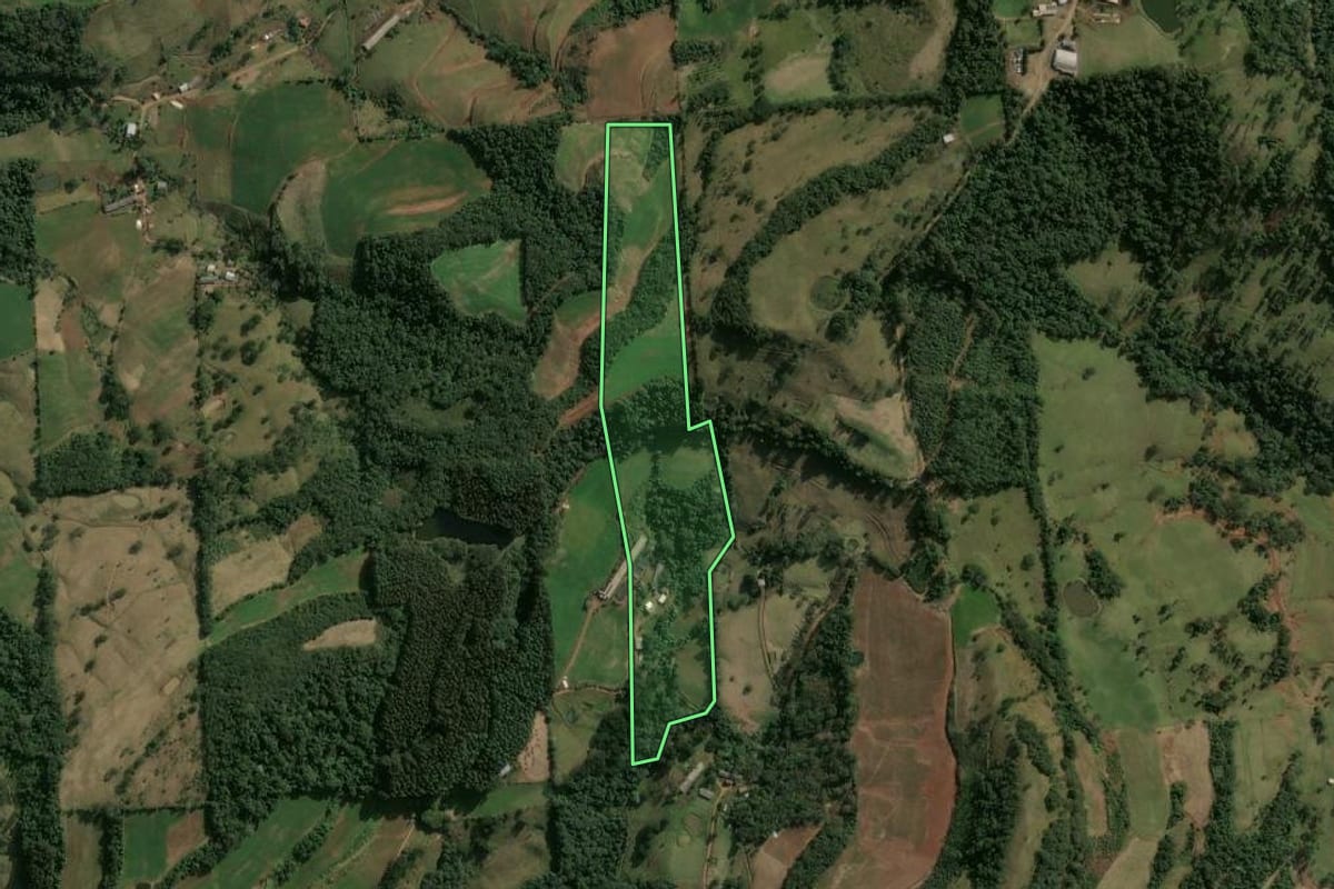 Imagem de satélite do imóvel rural em Xavantina (SC), com o contorno declarado no CAR desenhado por cima.