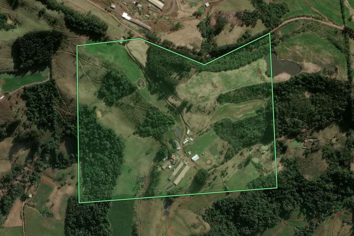 Imagem de satélite do imóvel rural em Xavantina (SC), com o contorno declarado no CAR desenhado por cima.