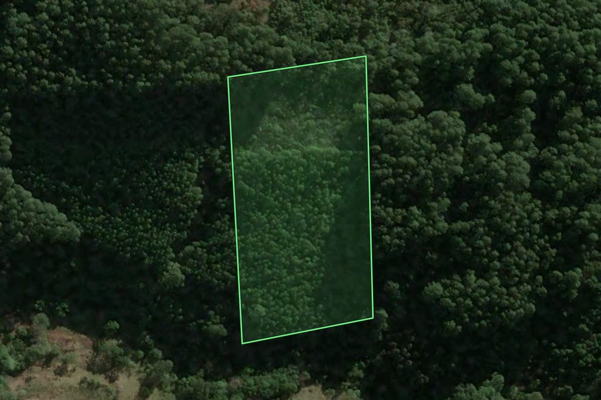 Imagem de satélite do imóvel rural em Xavantina (SC), com o contorno declarado no CAR desenhado por cima.