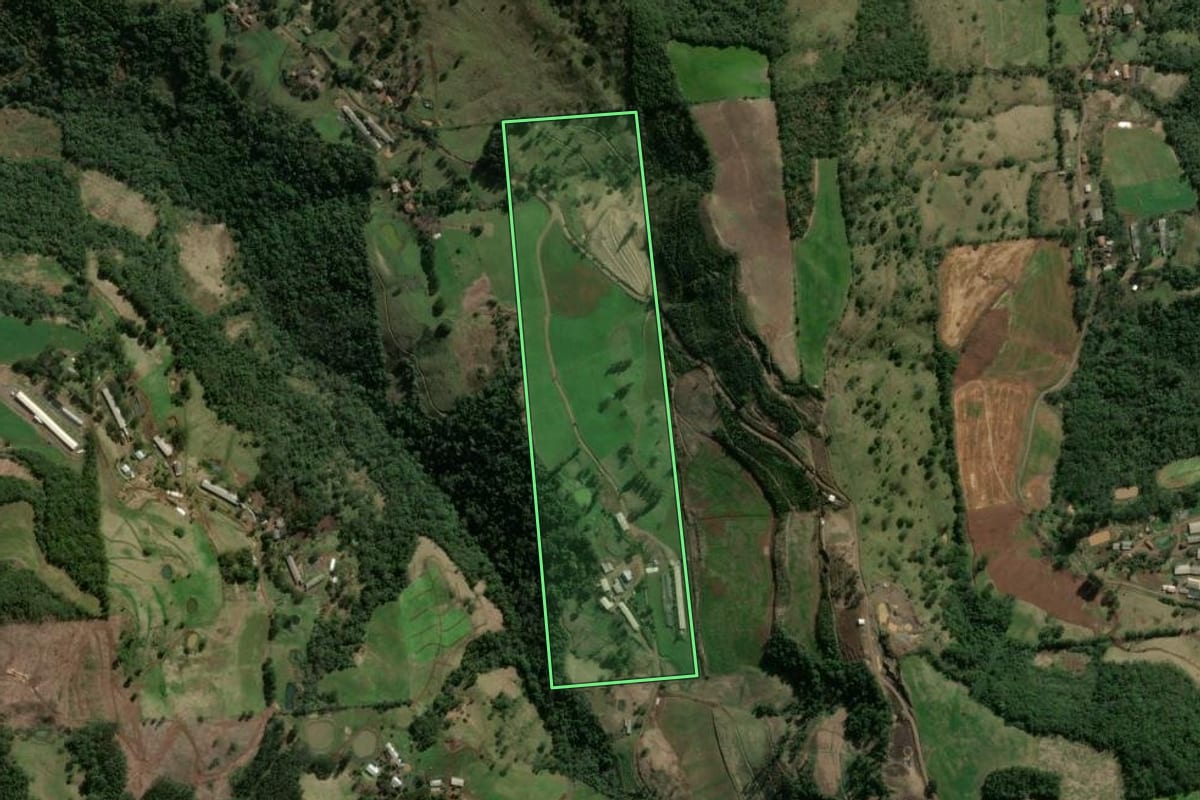 Imagem de satélite do imóvel rural em Xavantina (SC), com o contorno declarado no CAR desenhado por cima.