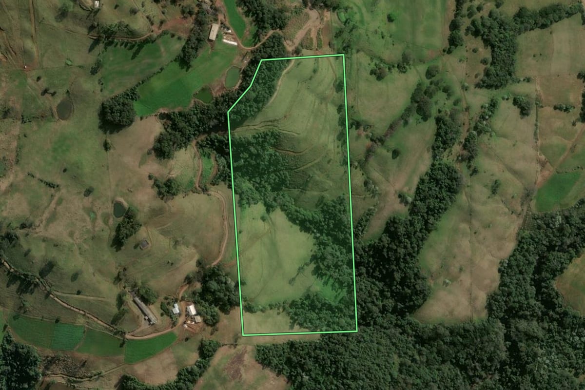 Imagem de satélite do imóvel rural em Xavantina (SC), com o contorno declarado no CAR desenhado por cima.