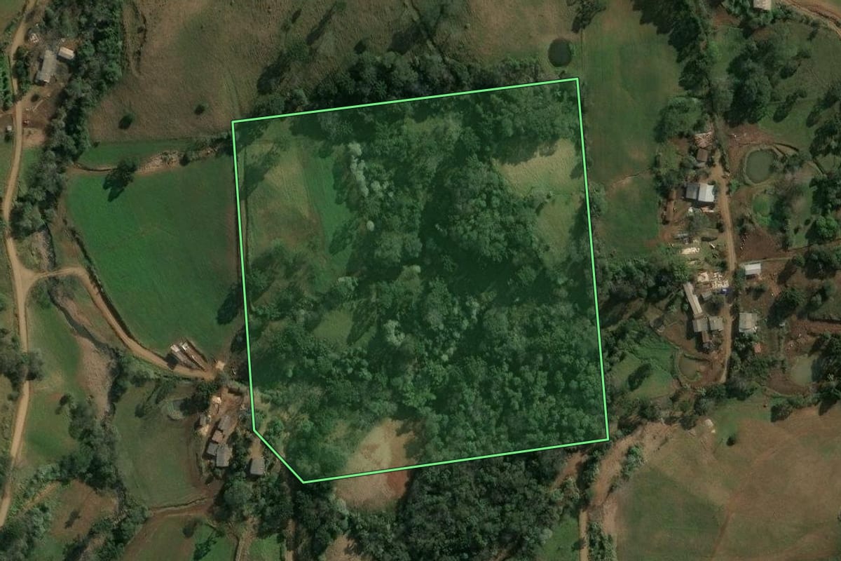 Imagem de satélite do imóvel rural em Xavantina (SC), com o contorno declarado no CAR desenhado por cima.